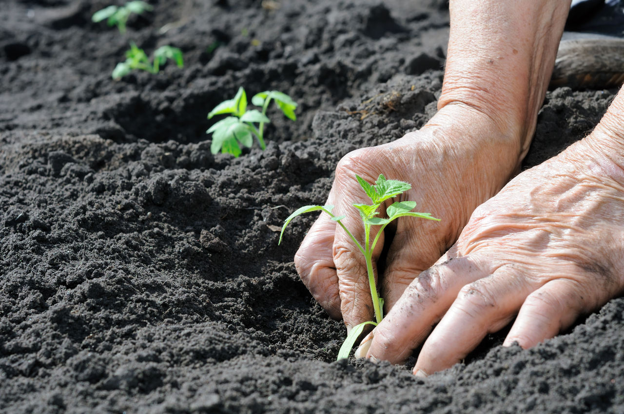 Agricultura